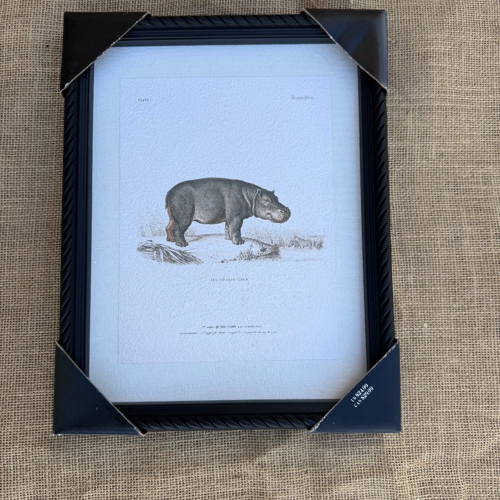 Framed Hippo Print